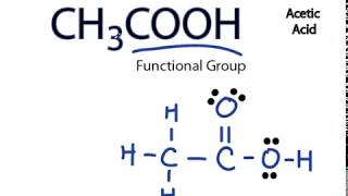 CH3COOH Lewis Structure Acetic acid [upl. by Pachston]