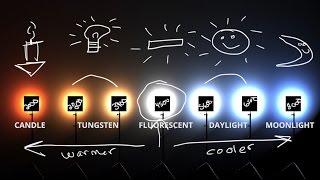 White Balance amp Kelvin Color temp explained 💡 [upl. by Fablan]