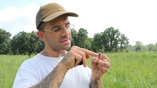 Meet the YouTube Botanist with a Thick Chicago Accent and Foul Mouth [upl. by Soren]