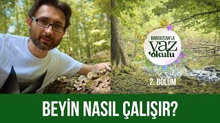 Beyin nasıl çalışır  Yaz Okulu 2 [upl. by Siryt]