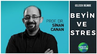 Prof Sinan Canan  Beyin ve Stres [upl. by Ruffin]