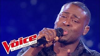 JeanJacques Goldman – Puisque tu pars  Wesley  The Voice France 2014  Quarts de finale [upl. by Eey287]