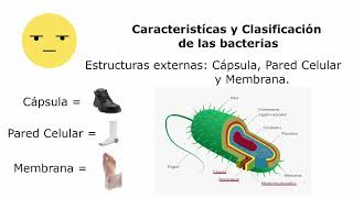 Microbiología Sesión 3 Características y Clasificación de Bacterias [upl. by Editha]