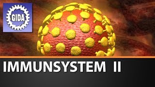 Trailer  Immunsystem II  Biologie  Schulfilm [upl. by Tabatha725]