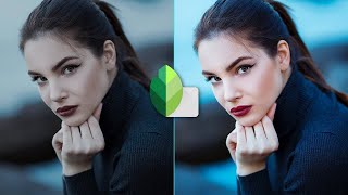 Snapseed Beginner Tutorial  Android and iPhone [upl. by Tatman]