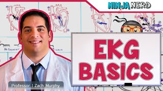 EKG Basics  How to Read amp Interpret EKGs Updated Lecture [upl. by Johanna]