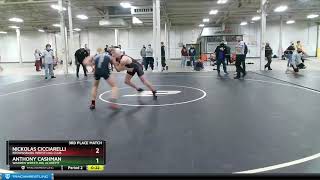 High School Boys 160 Anthony Cashman Warren Wrestling Academy Vs Nickolas Cicciarelli Brownsburg W [upl. by Oratnek606]