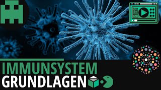 Immunsystem Grundlagen│Biologie Lernvideo Learning Level Up [upl. by Yduj375]