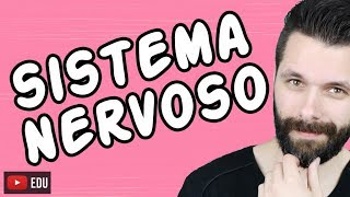 SISTEMA NERVOSO  FISIOLOGIA  Aula  Biologia com Samuel Cunha [upl. by Prudie]