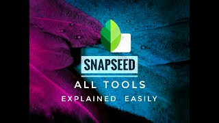 SNAPSEED Complete Tutorial  All Tools Explained in English  Android  iPhone [upl. by Etteluap]