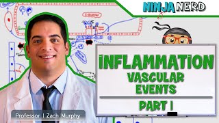 Immunology  Inflammation Vascular Events Part 1 [upl. by Alexis]