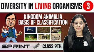 Diversity in Living Organisms 03  Kingdom Animalia  Basis of Classification  Class 9  NCERT [upl. by Natehc]