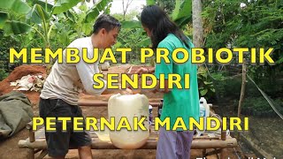 Cara membuat probiotik untuk fermentasi Part 1 [upl. by Gwendolin]