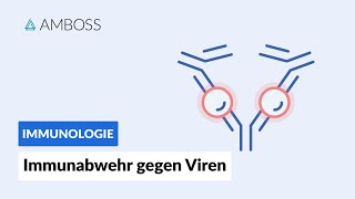 Immunabwehr gegen Viren  Immunologie  AMBOSS Video [upl. by Routh]