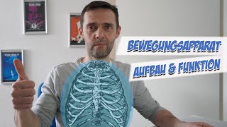 Bewegungsapparat  Anatomie  Pflege Kanal [upl. by Ennazor]