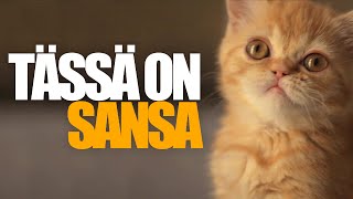 Tässä on Sansa [upl. by Uttica]