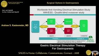 Gastric electrical stimulation therapy for gastroparesis – an overview of Enterra Therapy [upl. by Deming210]