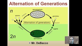 Alternation of Generations [upl. by Kentigerma726]