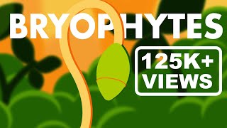 Bryophytes Class 11  Life Cycle of Bryophytes ANIMATION  Plant Kingdom Class 11  NEET [upl. by Kenny]