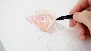 Watercolor Rose Tutorial Part 1 [upl. by Annawek]