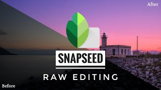 RAW Editing in Snapseed RAW Photo  Snapseed Tutorial [upl. by Inesita]