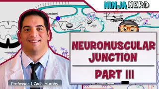 Musculoskeletal System  Neuromuscular Junction  Sliding Filament Theory Part 3 [upl. by Ern]