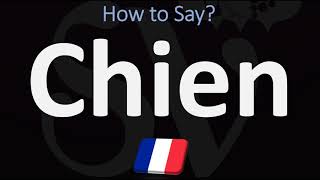 How to Say ‘DOG’ in French  How to Pronounce Chien [upl. by Thorfinn]