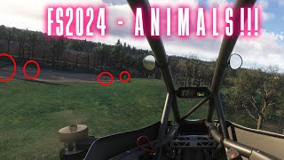 Finding ANIMALS in MSFS2024 [upl. by Tarra957]