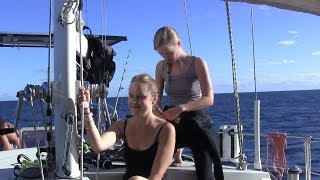 Scuba Diving The Great Barrier Reef Sailing SV Delos Ep 18 [upl. by Eletnahc]