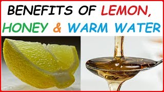 11 Benefits of Warm Water With Lemon and Honey in the Morning Advantages amp Biggest Reasons to Drink [upl. by Yager]