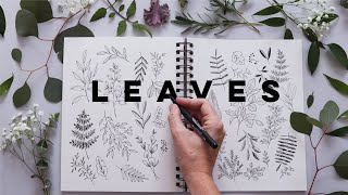 How to Draw Leaves and Botanicals  Relaxing Journaling Beginner [upl. by Jacobina]