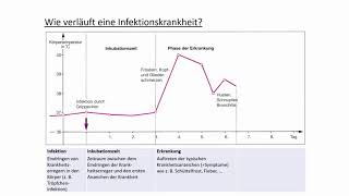 Verlauf einer Infektionskrankheit [upl. by Arihsat]