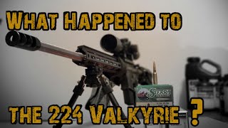 What happened to 224 Valkyrie [upl. by Yrrad569]