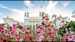 What its like studying at Leiden University [upl. by Adnomal]