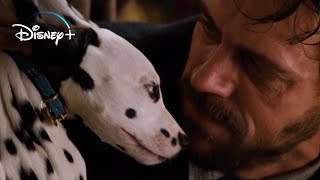 Cruella steals the Puppies – 101 Dalmatians HD Movie Clip [upl. by Vitek125]