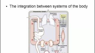 Physiology Intro Chapter 1 [upl. by Fin64]