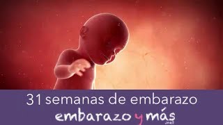 31 semanas de embarazo  Séptimo mes  EMBARAZOYMAS [upl. by Llebpmac865]