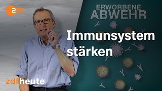 Wie funktioniert unser Immunsystem [upl. by Twila]