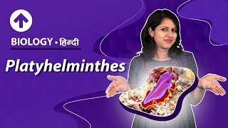 Platyhelminthes  Hindi  Diversity In Living Organisms  Biology Class 9 [upl. by Terle]