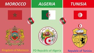 Morocco vs Algeria vs Tunisia Country Comparison [upl. by Annala]