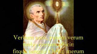 Pange Lingua Gloriosi  Catholic Hymns Gregorian Chant [upl. by Nylsor243]