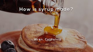 How is syrup made [upl. by Dallas]