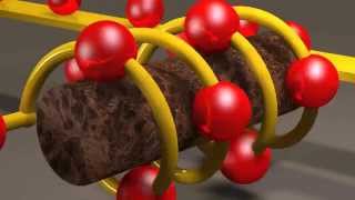 Inductors and Inductance [upl. by Yoo290]