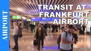 TRANSIT WALK AT FRANKFURT Airport FRA Terminal 1  Connection Flight Transfer Arriving amp Departing [upl. by Imik]