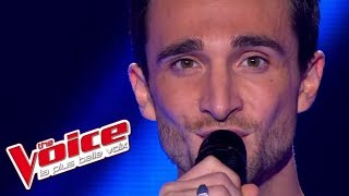 JeanJacques Goldman – Puisque tu pars  Benjamin Bocconi  The Voice France 2013  Blind Audition [upl. by Harrell]