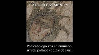 Catullus 16 in Latin amp English Pedicabo ego vos et irrumabo [upl. by Aramanta]