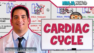 Cardiovascular  Cardiac Cycle [upl. by Elberta]